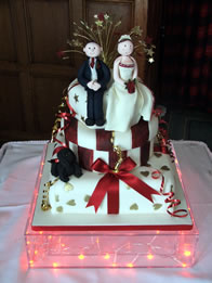 Wedding Cakes - Novelty